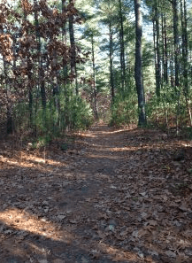 Stepinski Parcel - Guided Hike