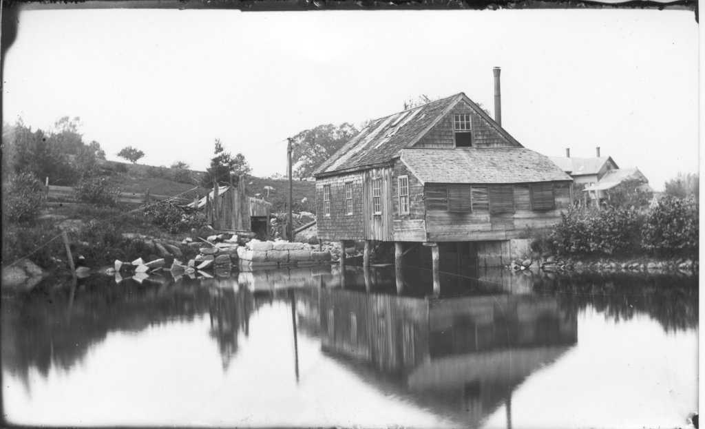 Cider Mill Pond Hike
