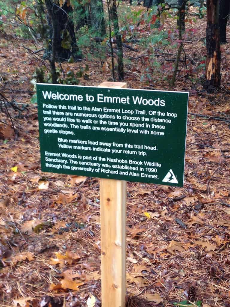 Emmet Woods Guided Walk