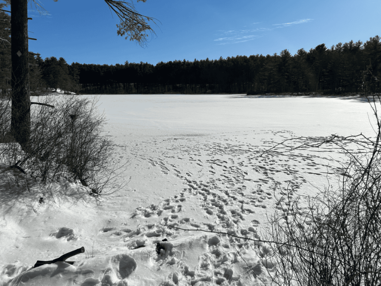 Burgess Pond