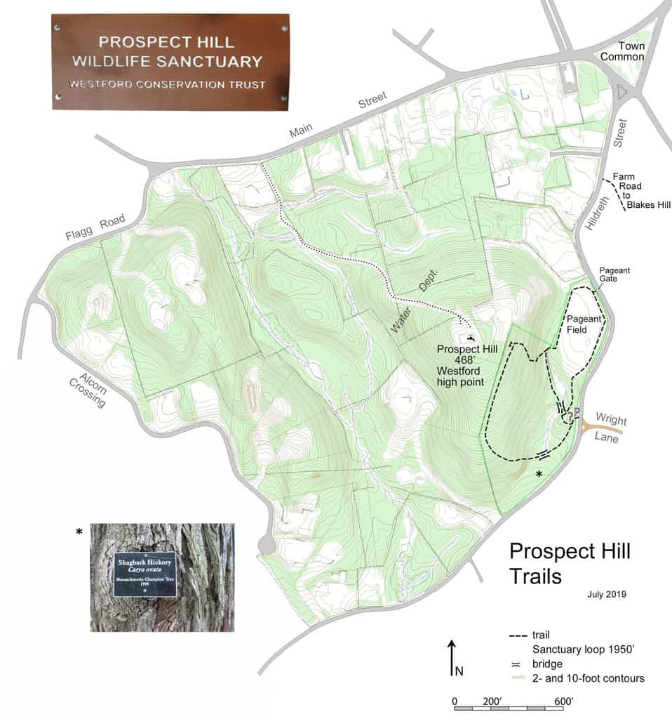 Topographic Map