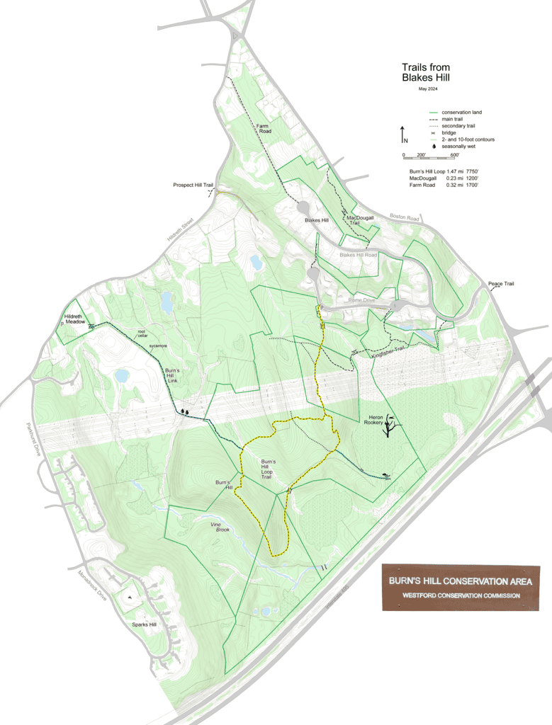Topographic Map