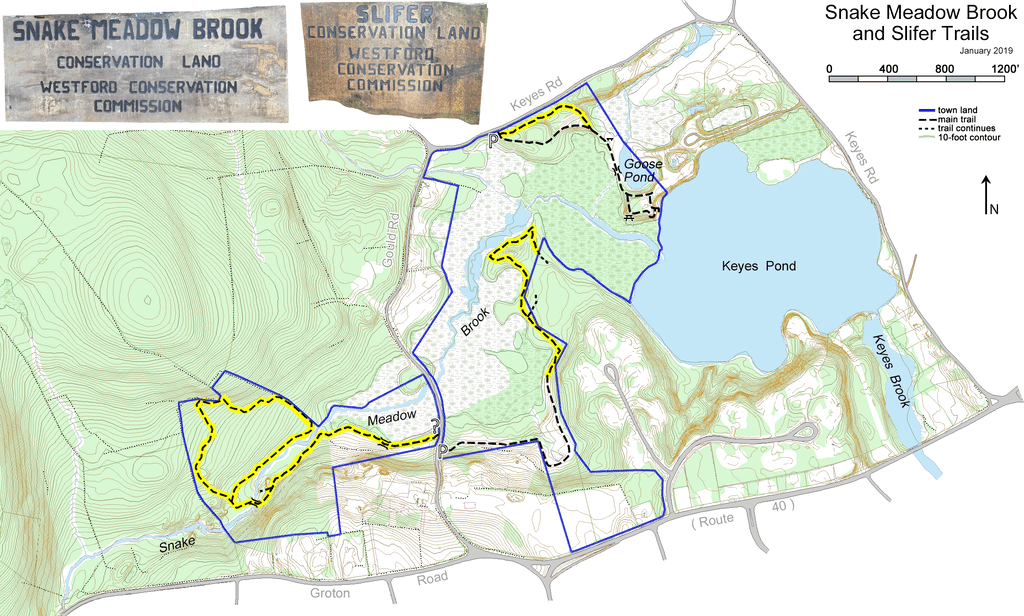 Topographic Map