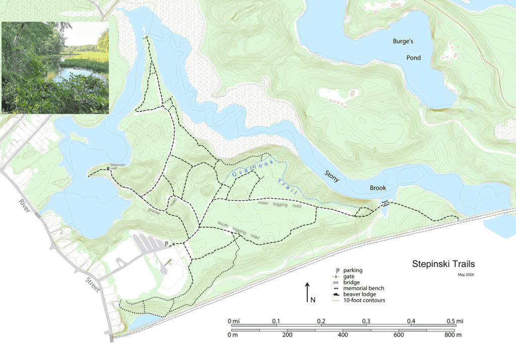 Topographic Map