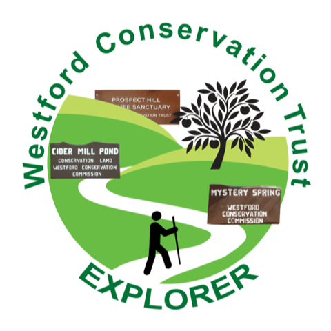 Hike the Trails of Westford and Win an Award – Rich Strazdas